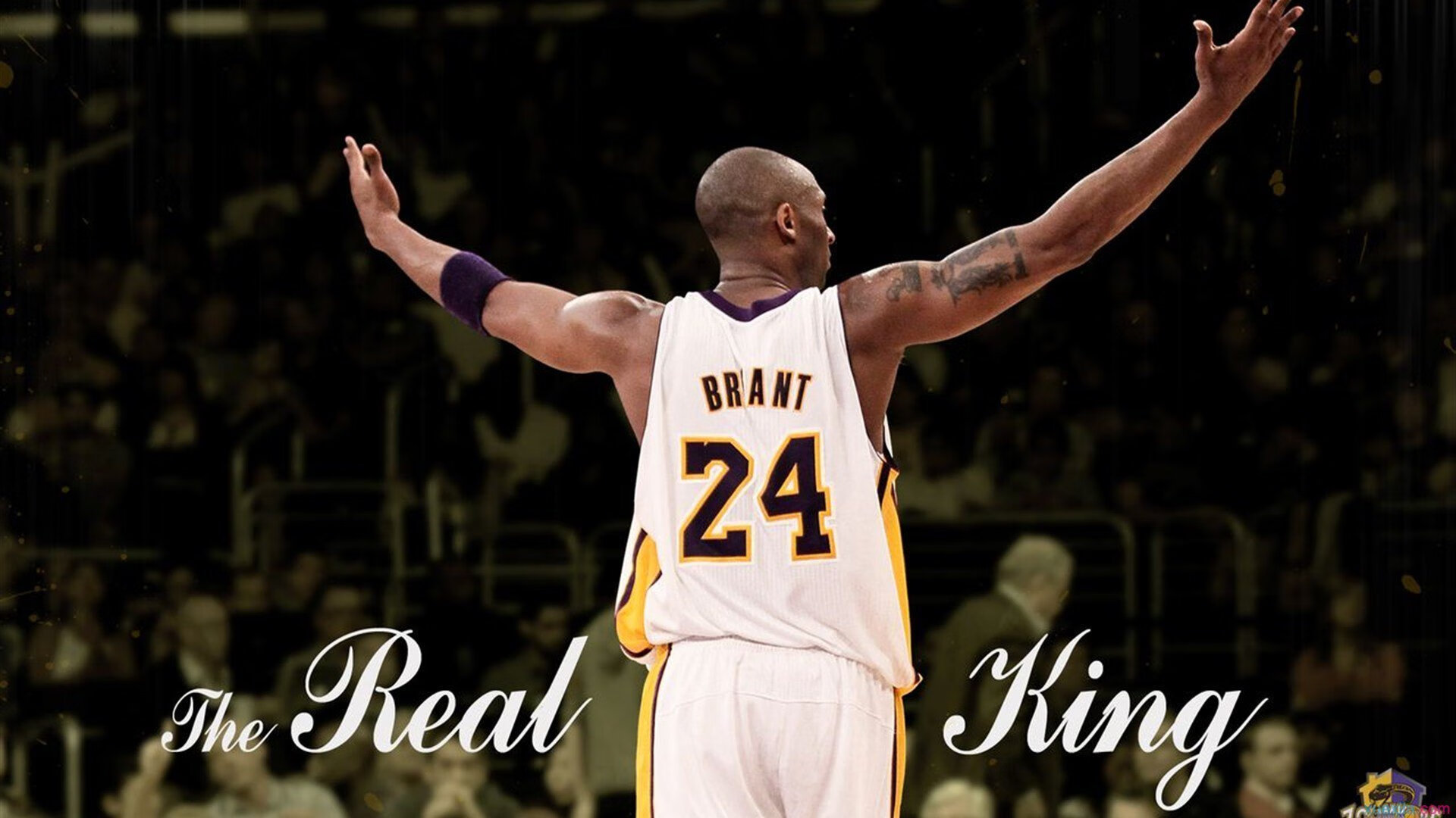 【裁判内幕】比赛中的犯规判罚流程详解,裁判技术犯规动作